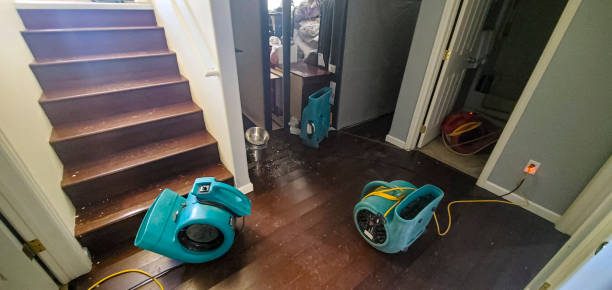 Best Water damage cleanup near me  in Koontz Lake, IN
