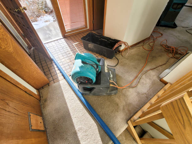 Best Basement water damage restoration  in Koontz Lake, IN