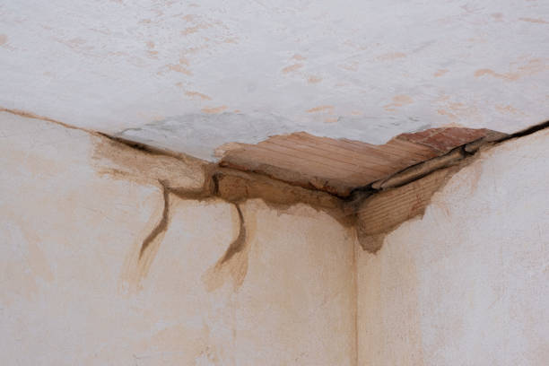 Best Water damage restoration near me  in Koontz Lake, IN