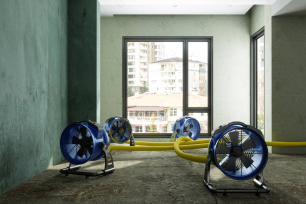 Best Emergency water damage restoration  in Koontz Lake, IN