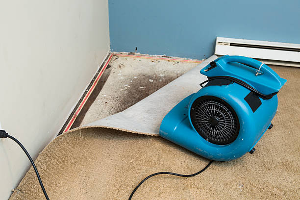 Best Water damage restoration mold remediation  in Koontz Lake, IN